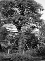 安泽注册公司